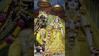 Sri Sri Radha Madhav  Radha  Krishna  Kirtan  shorts [upl. by Noid]