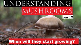 Understanding Mushrooms Part 2 [upl. by Carthy]