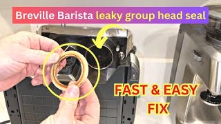 Breville Barista Leaky Group Head Seal Replacement Fast amp Easy Fix Espresso Machine  54mm [upl. by Celeste]