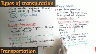 Transpiration And Its Types  Stomatal Lenticular And Cuticular Transpiration  Class 11 [upl. by Oiramad]