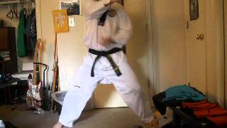 How Traditional Taekwondo Strikes And Blocks SHOULD Look [upl. by Else]