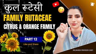 कुल रूटेसी  Family Rutaceae  Citrus family  Orange family  Part 12 [upl. by Nodroj]