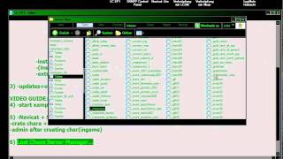 Last Chaos Ep1 Server Tutorial [upl. by Vanni260]