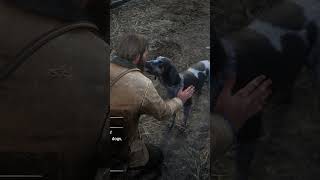 Valentine Dog Red Dead Redemption 2 [upl. by Enorej]