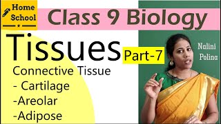 Tissues class 9 Biology Part7 [upl. by Ostler]