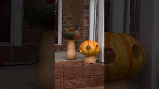 Let’s make mushroom shaped pumpkins halloween cottagecore fallcrafts pumpkincarving [upl. by Piane]