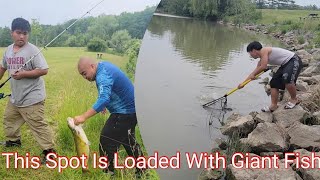 Fishing At Byng Island Conservation Area Dunnville  Big Channel Catfish [upl. by Novihc]