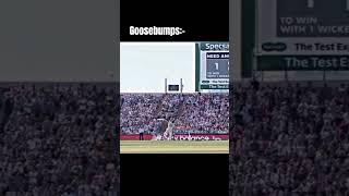 Craziest crowd reaction  Ben stokes  Headingley Test 2019  Quick gamerz cricket viral shorts [upl. by Eiramllij]