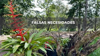 Falsas Necesidades [upl. by Anirec]