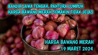 Info harga bawang merah hari ini 19 Maret 2024 [upl. by Oirretno]