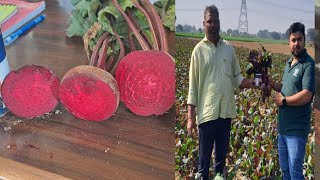 SHRIRAM BIOSEED GENETICS BIOSEED MEX MN 6395500520 DIST HAPUR UP [upl. by Akimehs]