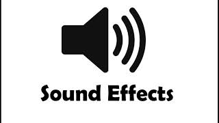 Sound Effect  Camera shutter [upl. by Karney875]