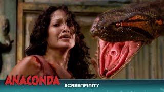 Anacondas Greatest And Goriest Moments  Anaconda  Screenfinity [upl. by Eelrebma110]