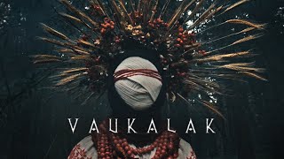 Irdorath  VAUKALAK Werewolf Official Music Video [upl. by Aikemit]