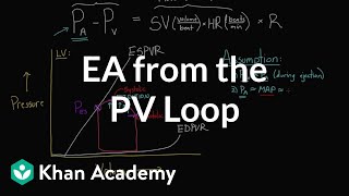 Getting Ea arterial elastance from the PV loop  NCLEXRN  Khan Academy [upl. by Asiruam698]