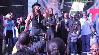 Melle Mel Performing at the Million Youth Rally 2013 [upl. by Aicertap101]