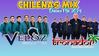 Veloz De La Sierra ft Grupo Tronador  Chilenas de Oaxaca Mix 2024  Corridos de Oaxaca [upl. by Hirsh]