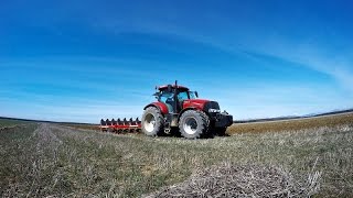 Case Puma 230 CVX y arado Escudero 10  Plowing with Case Puma 230 CVX and Escudero 10 furrow [upl. by Calie]