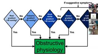 LVOT Obstruction [upl. by Ydniw]