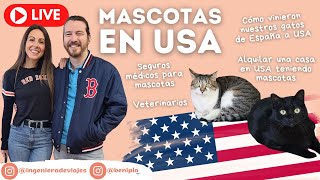 🔴 Cómo llevamos nuestros GATOS a USA desde España 🇪🇸✈️🇺🇸 [upl. by Dennis]