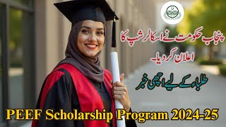 PEEF Scholarship 202425PEEF Scholarship For FATA Students 2024Punjab Educational Endowment Fund [upl. by Novrej]