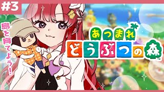 【あつまれどうぶつの森3】お昼のまったりあつもり【早乙女ベリーにじさんじ】 [upl. by Acinaj]