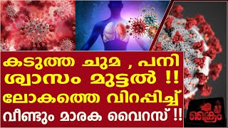 ഹാന്റാ വൈറസ്  ജാഗ്രത വേണം [upl. by Othelia3]