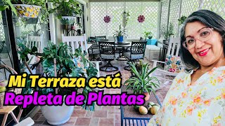 Mi acogedora terraza repleta de plantas tropicales de interior tour casayjardin plants 🪴🌱🌿🌹 [upl. by Arinayed]