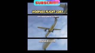 Plane crash Animation vs Real life Part 2 aviationgeek subscribe planecrash shorts [upl. by Nomzed]