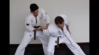 Lesson 6 Kyokushin Karate Kata Bunkai Self defence and Physical Strength Partner Training [upl. by Aihsia389]