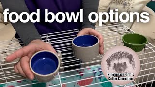 Hedgehog cage set up  Food dish options [upl. by Haines]