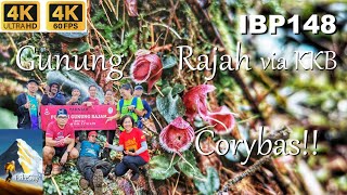 Ep134 Hike to the mighty Gunung Rajah via Pertak KKB ⭐ Selangor Malaysia [upl. by Nogaem]