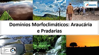 Domínios Morfoclimáticos Araucárias e Pradarias  Videoaula [upl. by Gabor]