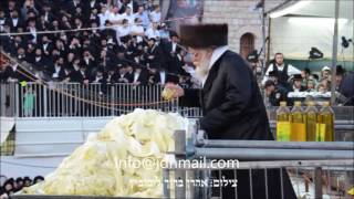 Lag Baomer 5776 With Toldos Aharon Rebbe In Meron [upl. by Bealle]