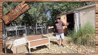 Is This The Best Brooder Box For Quail [upl. by Imot226]