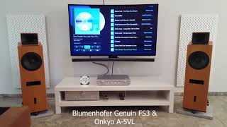 Blumenhofer Genuin FS3 vs Monitor Audio RX 8 [upl. by Floro]