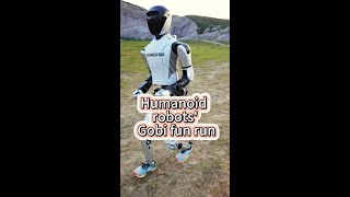 Chinesemade humanoids Gobi fun run [upl. by Nysila]