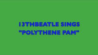 POLYTHENE PAMBEATLES COVER [upl. by Eltsryk]