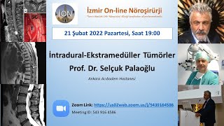 İON 209 Lecture Palaoğlu İntradural Ekstramedüller Omurilik Tümörleri 210222 [upl. by Adiana174]