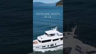 Warning Offshore 65 CE Trawler Features Revealed [upl. by Einehpets]