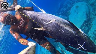 PESCASUB TONNO Gigante Pesca al Dentice Giant BLUEFIN TUNA SPEARFISHING 2024 [upl. by Phineas]