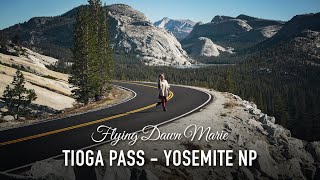 207 Tioga Pass FirstTimers Travel Guide Yosemite National Park  Tioga Road TOP SPOTS [upl. by Akkimat]