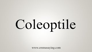 How To Say Coleoptile [upl. by Guntar221]