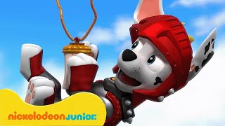 PAW Patrol  La Pat Patrouille  Les plus grands sauvetages DENTAIRES   Nickelodeon Jr France [upl. by Raimondo727]