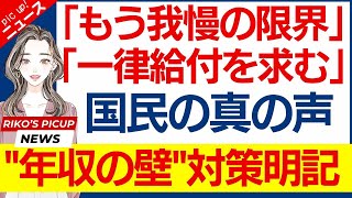 【速報】「103万円の壁」引き上げ明記•自公国、経済対策合意へ「もう我慢の限界」「財○省が日本経済を衰退させ、日本国民を苦しめている」国民の真の声 [upl. by Aleit85]