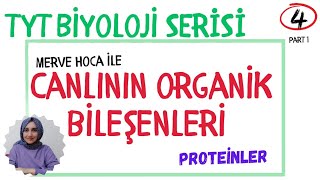 TYT BİYOLOJİ PROTEİNLER tyt yks [upl. by Aserat]