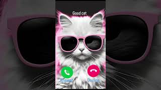 good cat calling [upl. by Steward]