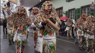 Großer Narren und Guggenumzug FasnachtSonntag Hilzingen 11022018 [upl. by Nnahteb303]