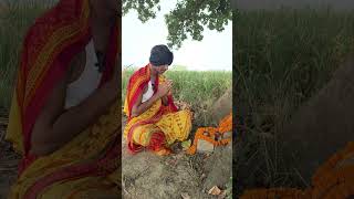 शिव चर्चा वाला वीडियो😃mangal singh yadav funny comedy shorts [upl. by Yotal]