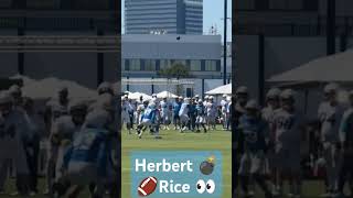 Justin Herberts Pass to Brendan Rice at Chargers Training Camp  2024 NFL Season Highlights 🏈⚡️ [upl. by Yllime]